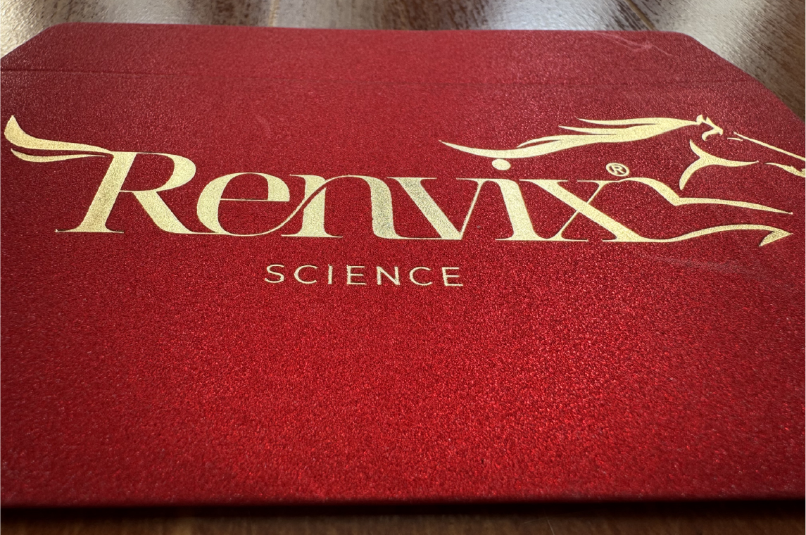 In bao lì xì giấy kim tuyến cao cấp- ép kim sang trọng