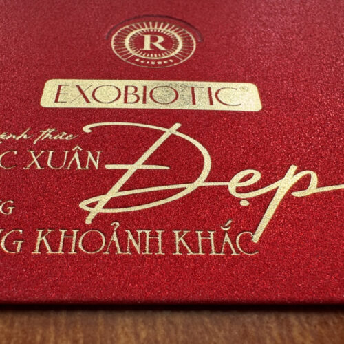 In bao lì xì giấy kim tuyến cao cấp- ép kim sang trọng