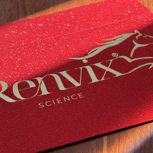 In bao lì xì giấy kim tuyến cao cấp- ép kim sang trọng