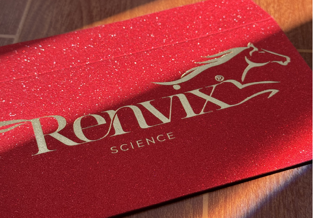 In bao lì xì giấy kim tuyến cao cấp- ép kim sang trọng