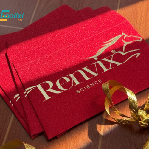 In bao lì xì giấy kim tuyến cao cấp- ép kim sang trọng